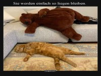 Der unbesiegte Faulheits-Champion!