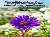 weiter