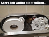 Geh�rnter Toilettenpapier-Gast �berrascht!