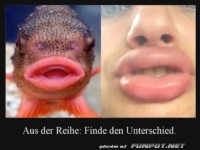 Lippenstift oder Lippenfisch?