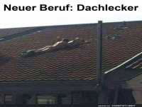 Dachdecker
