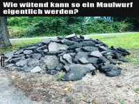 Der aufgebrachte Maulwurf-Protest!