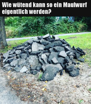 Der-aufgebrachte-Maulwurf-Protest!.jpg auf www.funpot.net