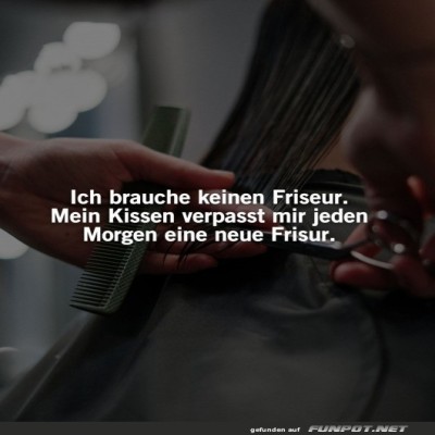 Kissenfrisur:-Das-neue-Haarwunder.jpg von Lucie37