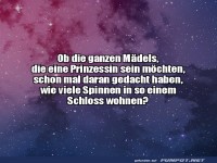 Prinzessinentraum mit Spinnen erweitern!