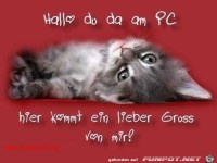 hallo du da am pc hier kommt ein lieber gruss