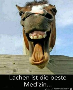 Lachen.jpg auf www.funpot.net