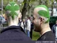 weird-unusual-haircuts-10