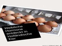 hollaendische Eier