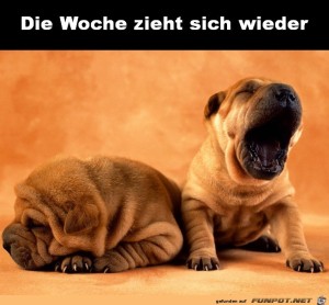 Begrüßungsbild