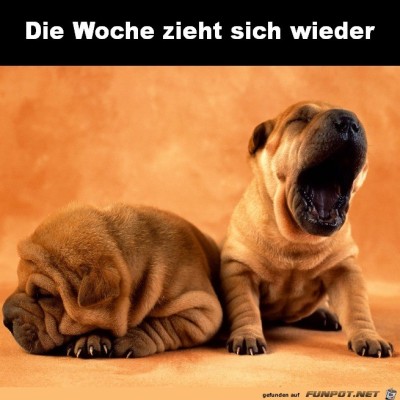 Die-Woche.jpg von Elena