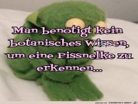 Botanisches wissen unnoetig