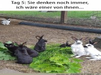sie denken ich w�re einer von ihnen