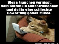 Schlechte Bewertung von der Katze