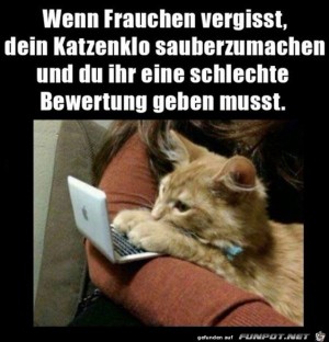 Schlechte-Bewertung-von-der-Katze.jpg auf www.funpot.net