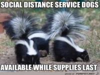 Service-Mitarbeiter für Social Distancing