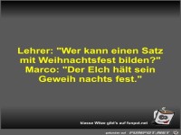 Lehrer: Wer kann einen Satz mit Weihnachtsfest bilden?