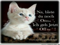 Ich gehe jetzt schlafen