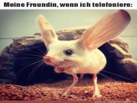 Freundin, wenn der Partner telefoniert