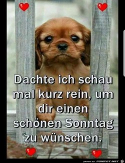 Schoenen-Sonntag.jpg auf www.funpot.net