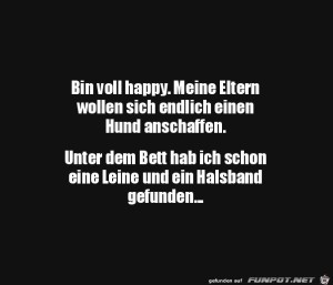 Leine-und-Halsband-gefunden.jpg auf www.funpot.net