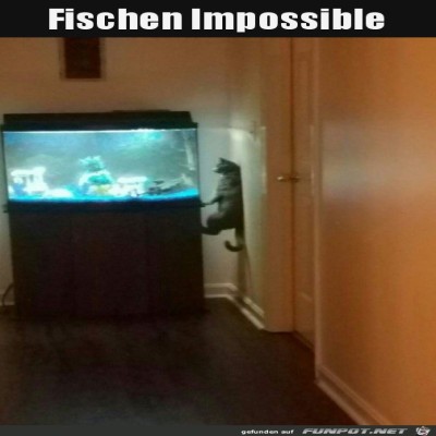 Fischen-unm&ouml;glich.jpg von DunklesBrot