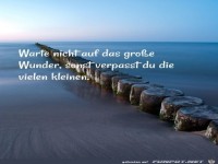 Warte nicht auf das grosse Wunder