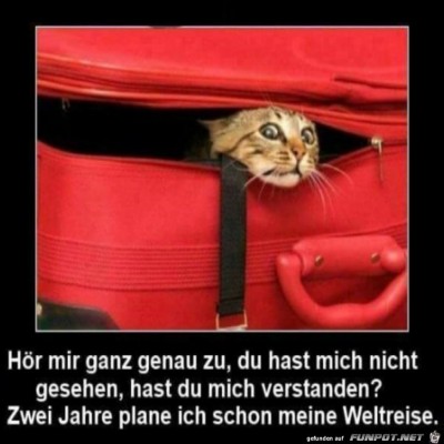 Verrate-mich-nicht.jpg von Henry