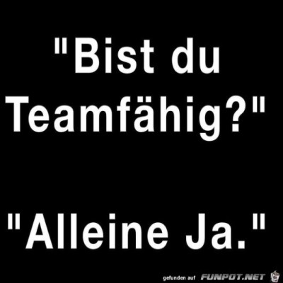 Teamf&auml;hig.jpg von Mia
