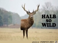Halb so wild