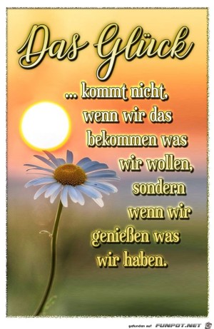 Das-Glck-kommt-nicht.jpg auf www.funpot.net