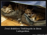 Drahtlose T�rklingeln