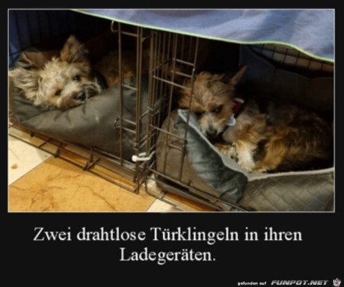 Drahtlose-Türklingeln.jpg auf www.funpot.net