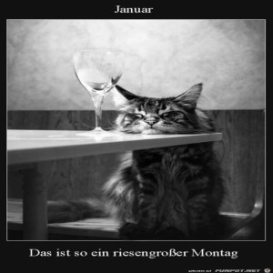 fun-Bild: Der Januar ist ein langer Montag