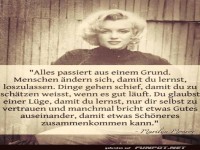 Alles passiert aus einem Grund