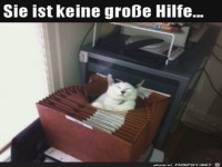 Keine Hilfe