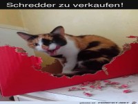 Der Zerst�rer