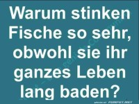 Warum stinken Fische