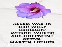 alles, was in der welt