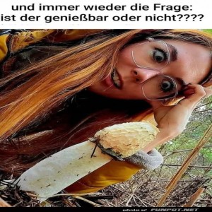 fun-Bild: Immer wieder die Frage