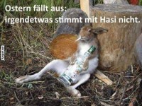 Ostern f�llt aus: Hasi ist nicht bereit
