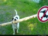 weiter