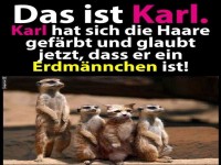 Karl mit neuer Frisur: Tarnung perfekt?