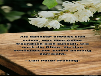 als dankbar erweist sich