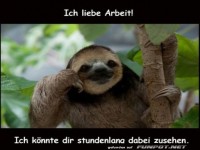 Faultier bei der Arbeit: Extremst Motivation!