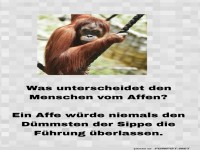 was unterscheidet den menschen vom affen