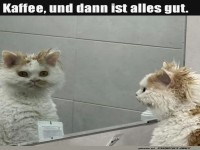 Vor dem Kaffee: Morgenkatastrophe