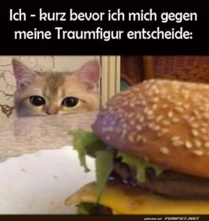 Katze-im-Dilemma:-Traumfigur-oder-Burger?.jpg auf www.funpot.net