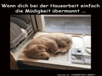 Hausarbeitspause: Schlafplatz Sp�lmaschine