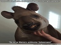 L�chelndes Tapir-Osterfoto!